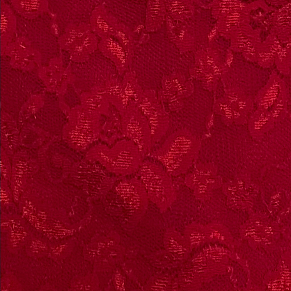 Moda International Vibrant Red Lace Strapless Top - Picture 3 of 5